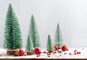 Close-up of mini sisal Christmas trees with snow frost effect and red berry ornaments
