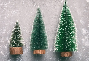 Three-piece mini frosted cedar Christmas trees with natural wood base on marble background
