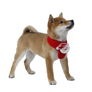 Close-up of a red knitted Christmas pet scarf with a 3D Santa Claus on a Shiba Inu