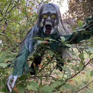 Detailed realistic zombie prop with grey hair and bloody face crawling in garden bushes