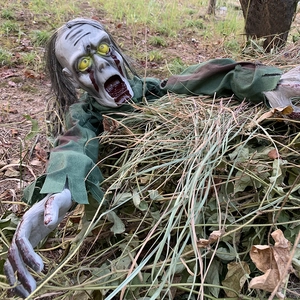 Detailed view of scary crawling zombie prop with bloody eyes and decayed skin details
