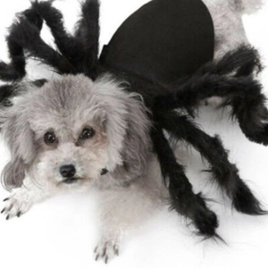 Funny Halloween black spider costume for dogs and cats with plush legs and soft padding
