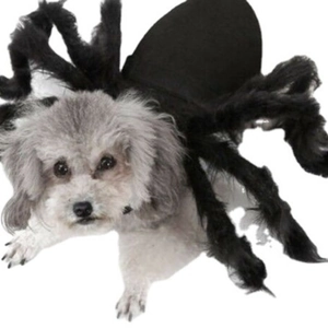 Halloween Pet Spider Costume For Small Large Dogs Cats Funny Fuzzy Legs Transformation Dress Up Costume For Party Festival Pets Clothing