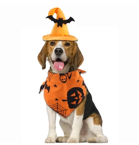 Détail d'un ensemble Halloween pour chien avec chapeau de sorcier et bandana à motif citrouille