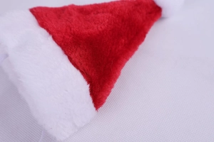 Dettaglio del cappello natalizio per animali in velluto rosso con bordo in peluche