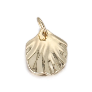 Detailopname van een gouden schelphanger met gepolijste afwerking en metaaltextuur