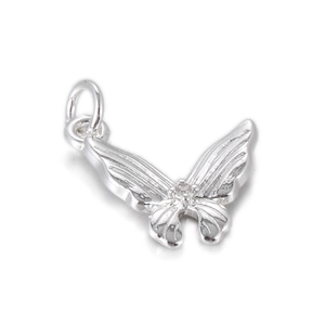 Macro detail of silver butterfly pendant with fine textures and center stone setting