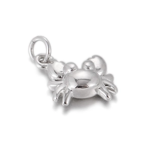 Macro shot of silver crab pendant charm with detailed shell and jumping ring