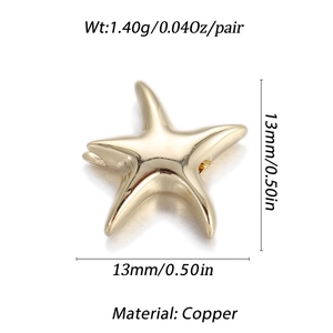 Detail von 14K vergoldeten Messing-Seestern-Anhängern für DIY-Schmuck und Ketten