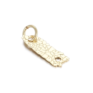 Macro view of 14K gold-filled rectangular charm with detailed crocodile pattern and eyelets