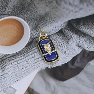 Detailed close-up of a rectangular blue enamel owl pendant for jewelry making