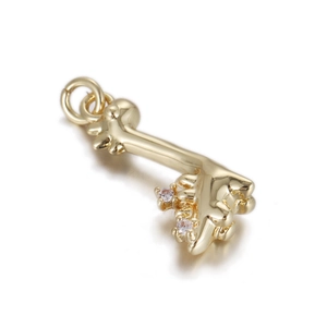 Close-up of golden bone-shaped pendant with cubic zirconia stones and ring hook