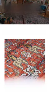 Detail of Persian style rug showing soft crystal velvet texture and vintage ethnic pattern