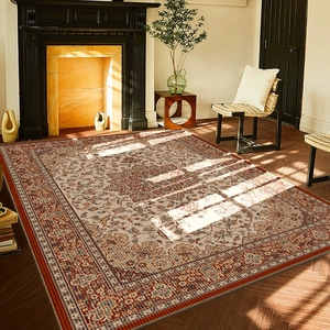 Classic Persian style floral rug with vintage bohemian patterns for living room decor
