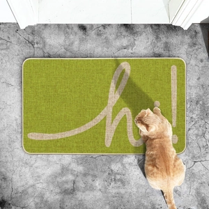 Detail of green woven door mat with white 'hi!' text and orange cat on grey floor