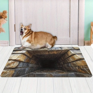 3D visual illusion door mat with deep stone tunnel design and a corgi dog on white floor