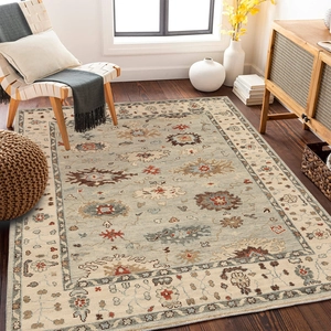 Bohemian geometric area rug with vintage floral patterns in a cozy living room setting