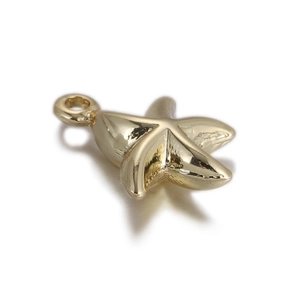 Macro d'un pendentif étoile de mer en or poli avec une finition miroir lisse pour bijoux