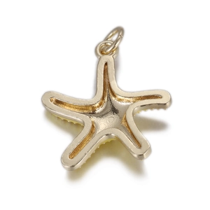Vue macro d'un pendentif étoile de mer dorée avec texture en alliage et dos évidé
