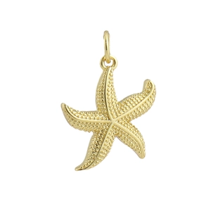 Détail d'un pendentif étoile de mer doré avec des motifs de perles texturés précis