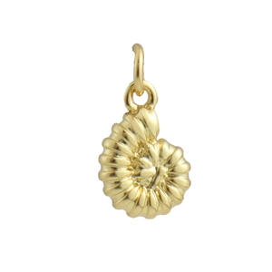 Macro view of a 18k gold plated conch shell pendant with detailed spiral texture