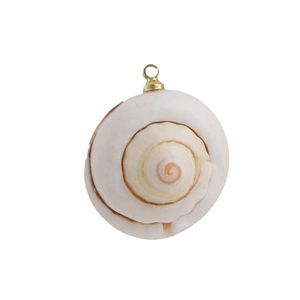 Macro d'un pendentif en coquillage naturel avec boucle dorée sur un fond blanc pur