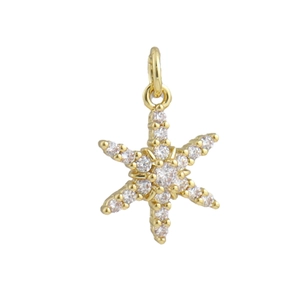 Elegante ciondolo a stella placcato oro con pietre di zirconia su sfondo bianco