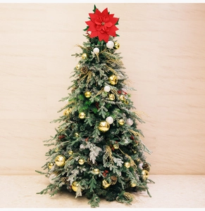 Close-up of snow-dusted Christmas tree featuring red poinsettia star and gold baubles