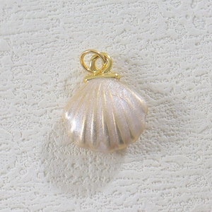 Makroaufnahme von Perlglanz-Muschel-Anhänger mit Goldöse für DIY-Schmuckdesign