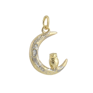 Detalle de colgante de búho dentro de una luna dorada con grabados de plata finos