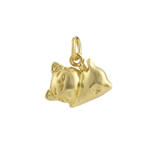 Detailed close-up of a golden animal pendant with sleeping cat design and star detail