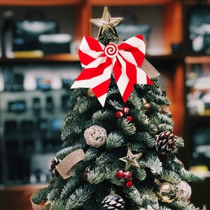 Mini sapin de Noël avec étoile dorée, nœud à rayures rouges et blanches et pommes de pin