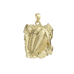 Vintage 18k gold plated brass trilobite fossil pendant with realistic fossil texture