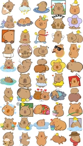 Collection of 50 cute cartoon capybara stickers in various fun poses for decoration