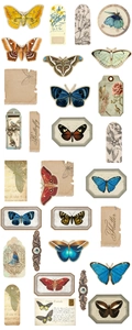 Macro detail of vintage butterfly scrapbooking kit with floral stickers and antique tags