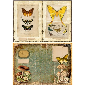 Vintage butterfly scrapbooking paper set with antique insect illustrations and labels