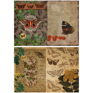 Detail of vintage butterfly paper stickers featuring botanical art and cursive script