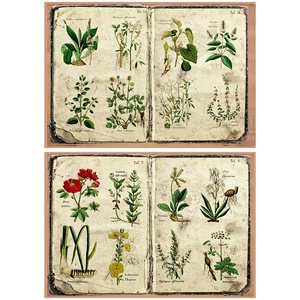 Close-up of vintage fern botanical illustrations on aged scrapbook paper for journals