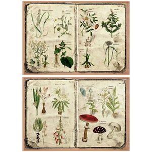 Detailed macro view of vintage botanical paper featuring fern and floral watercolor art