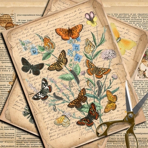 Vintage butterfly scrapbooking papers with floral patterns and antique script design