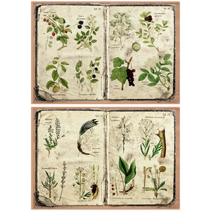 Detail of vintage botanical scrapbook paper with aged torn edges and fern illustrations