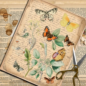 Vintage butterfly and plant scrapbooking material paper for DIY craft and journaling