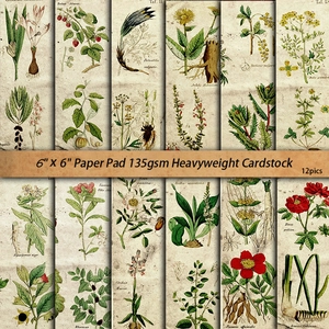 12 sheets of vintage fern botanical scrapbook paper with aged aesthetic for journaling