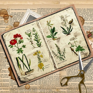 12 sheets of vintage fern botanical material paper with retro plant illustrations