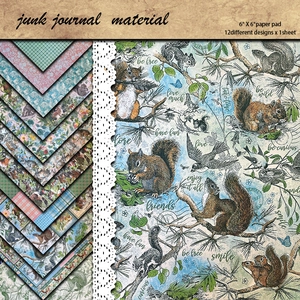 6x6 inch forest animal vintage decorative scrapbook paper featuring birds and squirrels