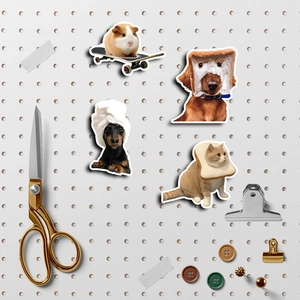 Detail of funny pet stickers featuring guinea pig on skateboard and dogs on white pegboard
