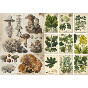 Vintage botanical and mushroom scrapbooking paper set with detailed nature illustrations