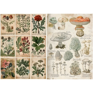 Detailed vintage botanical paper featuring diverse mushroom illustrations and floral patterns