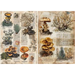 Macro detail of vintage mushroom illustrations on aged kraft paper for DIY scrapbooking
