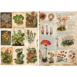 Detailed macro view of vintage botanical material paper featuring mushroom and flora prints